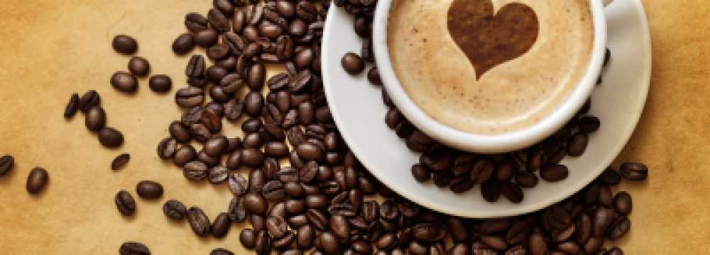 Restaurant - Caf� - Seeterrasse Eifelhaus in Einruhr