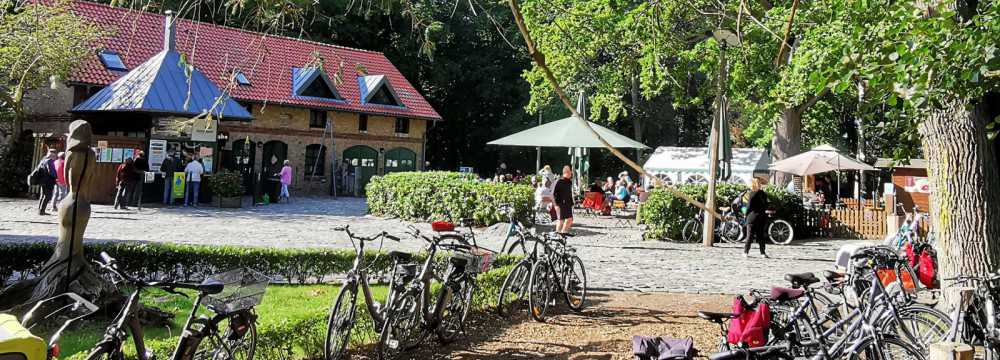 Caf�garten Sundische Wiese in Zingst