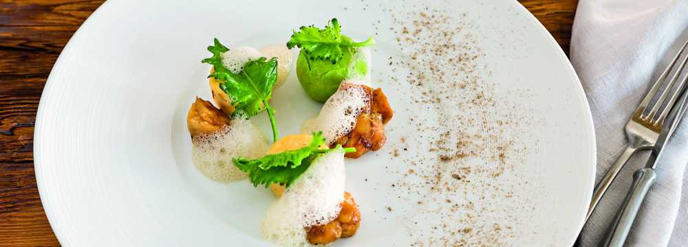 Weisses Ross / Cheval Blanc in Illschwang