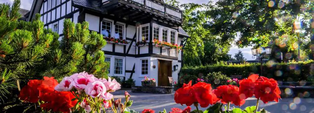 Landhotel Gasthof Schtte in Schmallenberg