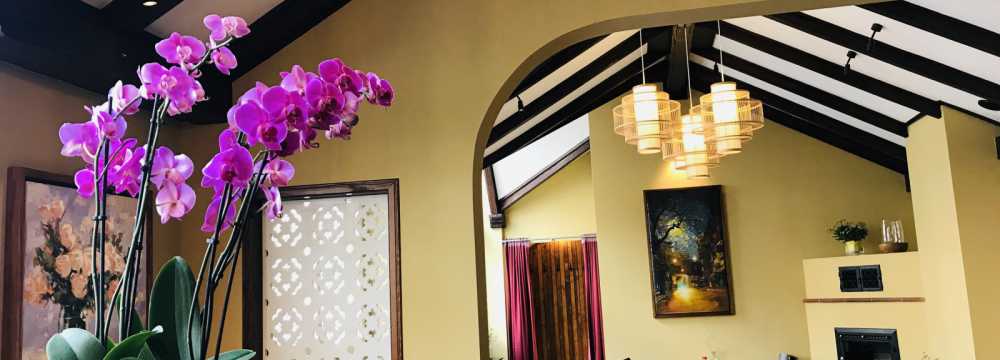 Mai Vien in Frankfurt am Main