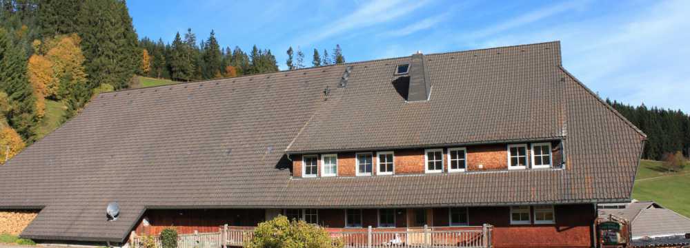 Gasthaus zum Strau  in Breitnau