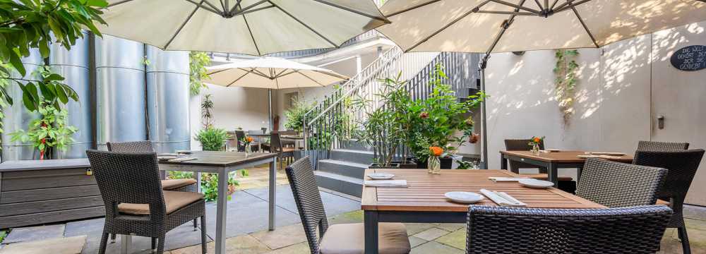 Felsenbirne in Pirna