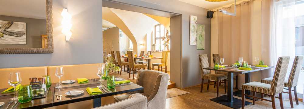 Felsenbirne in Pirna