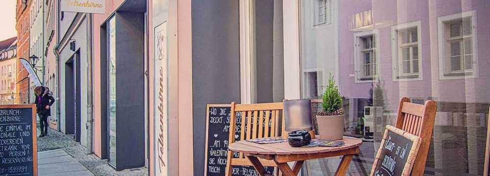 Felsenbirne in Pirna