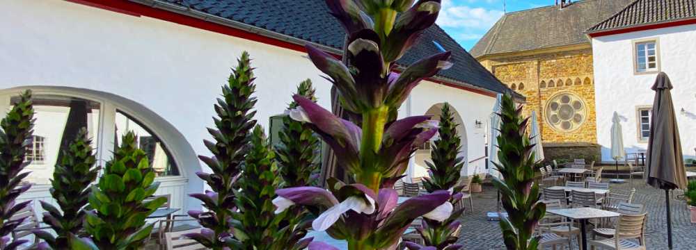 Gasthaus K�chenhof in Odenthal