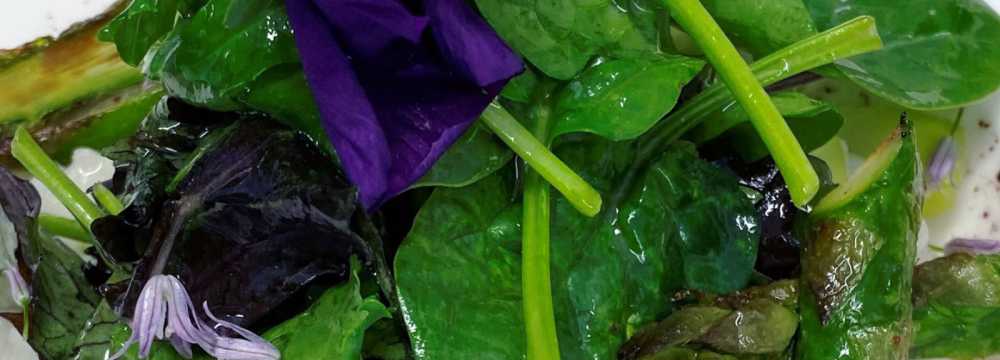 Gasthaus K�chenhof in Odenthal