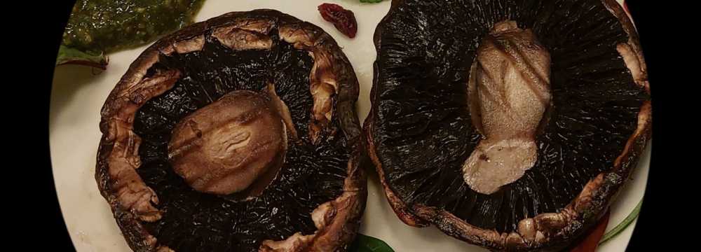 Salute - vegetarische & vegane K�che in Mainz