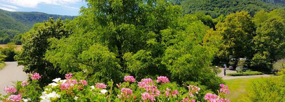 Biosph�renhotel Graf Eberhard in Bad Urach