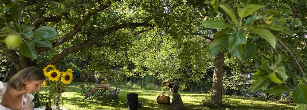 Alter Wirt in Gr�nwald