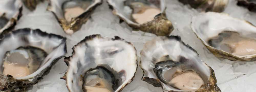 Ristorante Il Pescatore Italienisches Catering Events Hochzeiten in Schorndorf