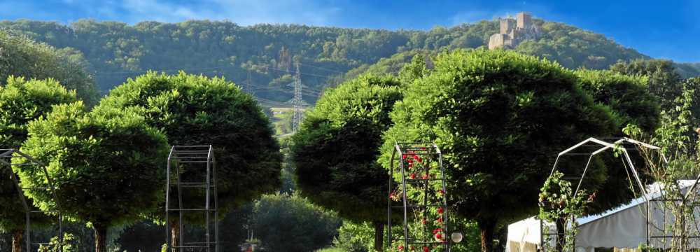 Restaurant Rosengarten in L�rrach