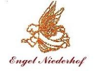 Logo von Restaurant Gasthaus Engel in Murg-Niederhof