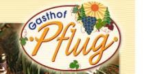 Restaurant Gasthof Pflug in Oberkich-Haslach