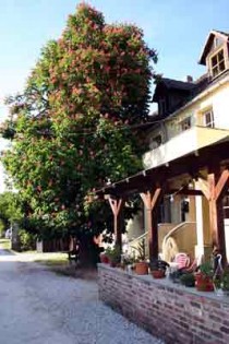 Logo von Restaurant Hof Schauferts Brauereigaststtte in Sch�nborn