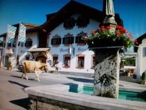 Logo von Restaurant Schatten Hotel  Gasthof in Garmisch-Partenkirchen