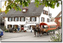 Logo von Restaurant Gasthaus zum Pflug in Kandern-Holzen