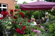 Logo von Restaurant Soprano in Gehrden