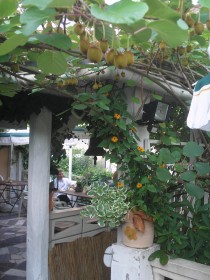 Logo von Hotel Restaurant Nassauer Hof in Wissen