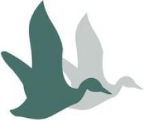 Logo von See Hotel Restaurant Die Ente in Ketsch