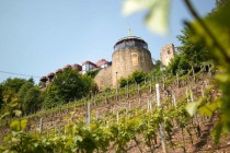 Logo von Restaurant Kauzenburg in Bad Kreuznach