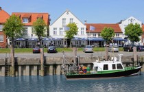 Logo von Restaurant zum Goldenen Anker in T�nning 