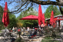 Logo von Restaurant  Bar Fiesta  in Kirchzarten