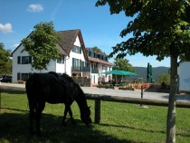 Logo von Restaurant Der Ro�hof in Gro�heubach