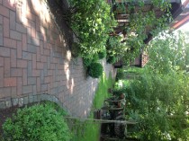 Restaurant Rauchfang in Schee�el