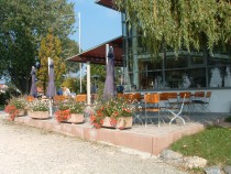 Restaurant Am Hfele in Immenstaad am Bodensee