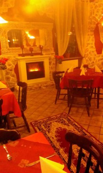 Logo von Restaurant Pension Germania Germersheim in Germersheim