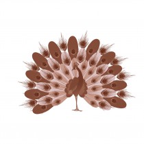 Restaurant Hotel gasthof Pfauen in Oberkirch