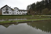 Logo von Restaurant Hotel Forellenzucht in BurgenMacken