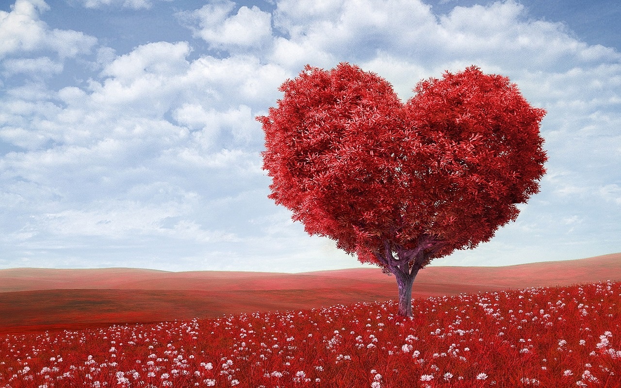 HAPPY VALENTINE