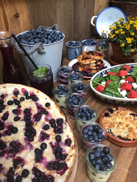 Heidelbeer-Buffet