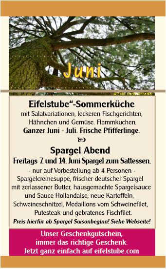 Juni Aktionen in der Eifelstube