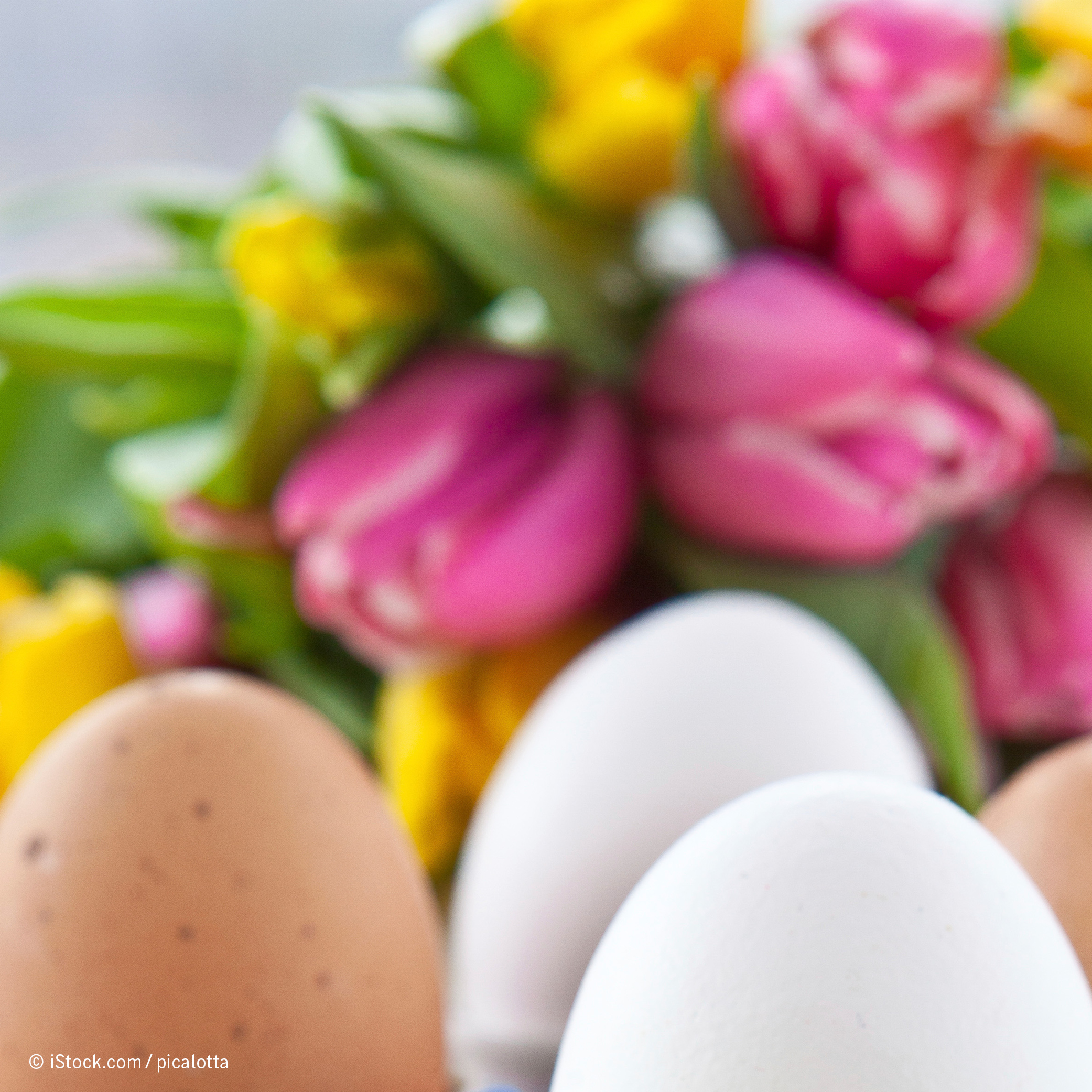 Osterbrunch