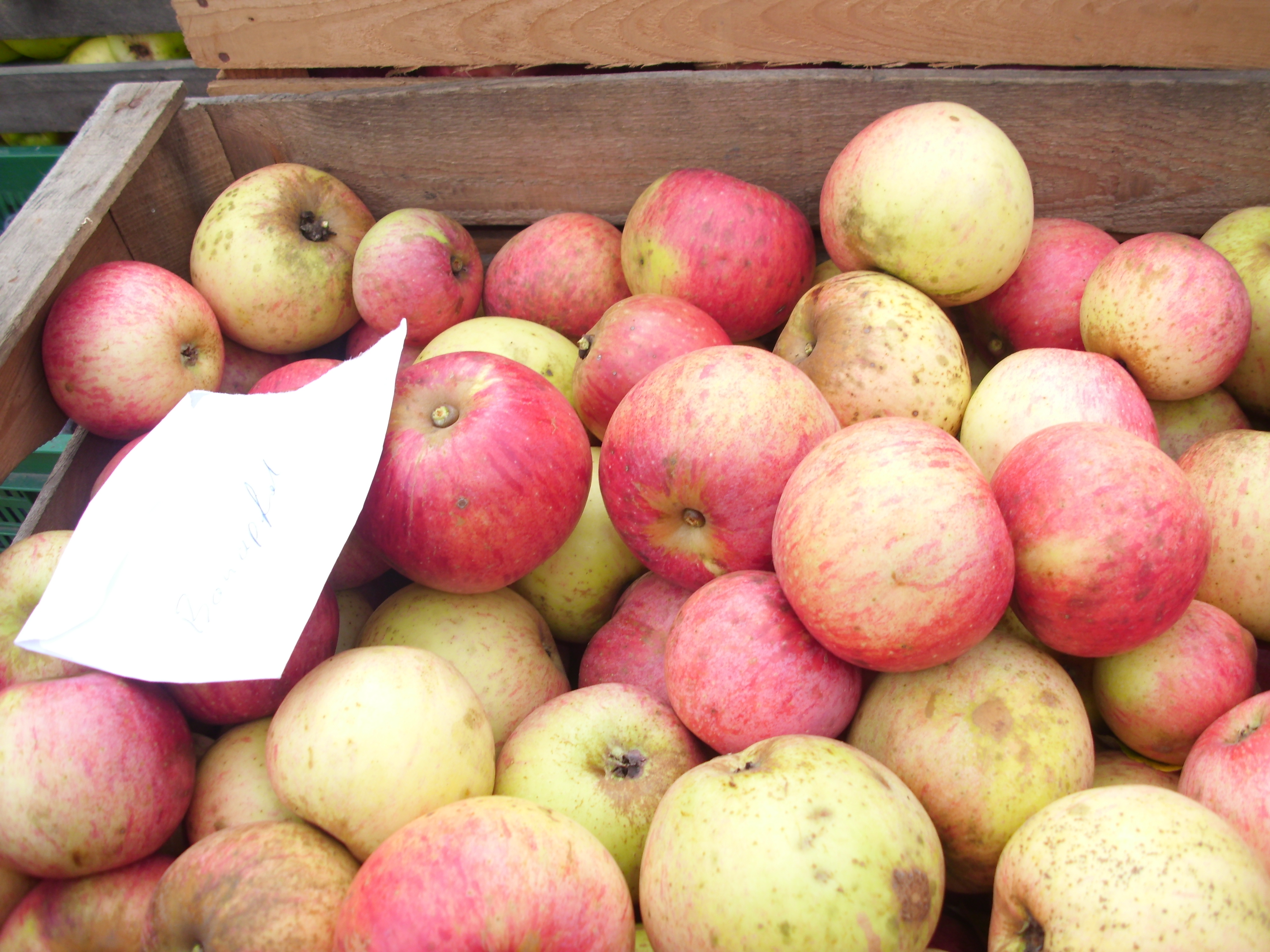 Apfel-Birnen-Woche