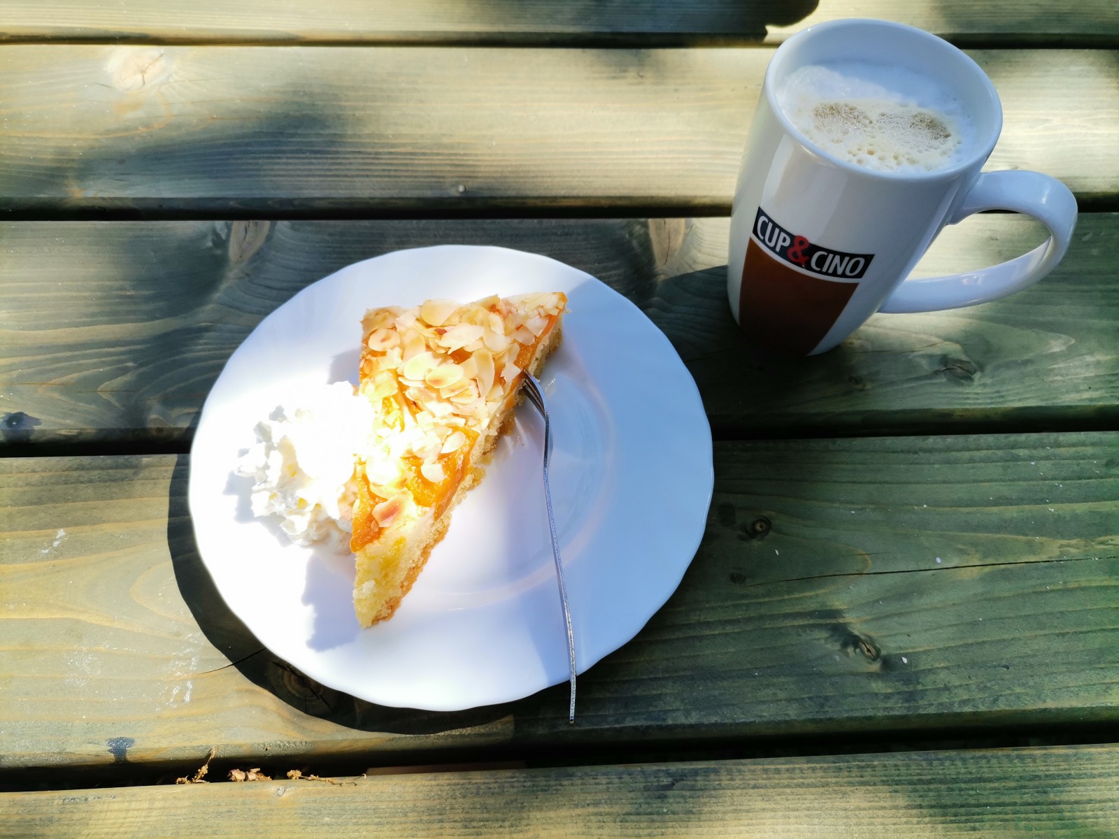 Cafégarten Sundische Wiese in Zingst, Foto 3