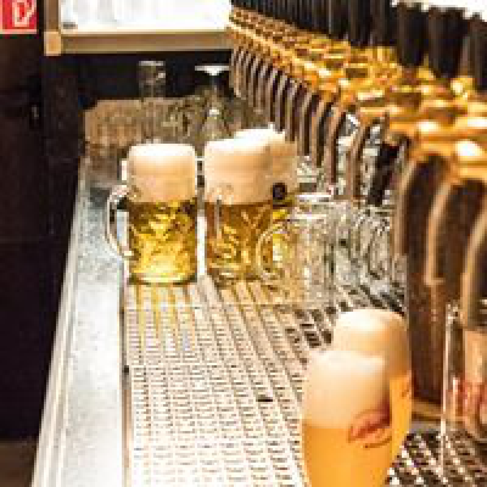 Dachsbau, Haus der Biere in Krefeld, Foto 1