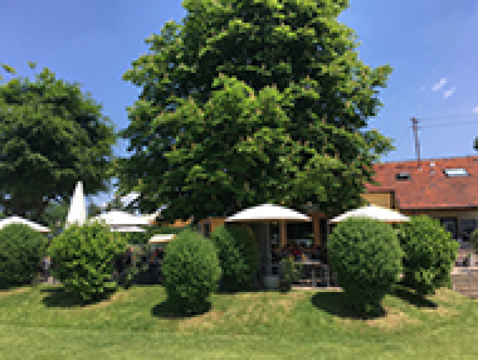 Dulkhäusle - Waldgaststätte in Esslingen am Neckar, Foto 1