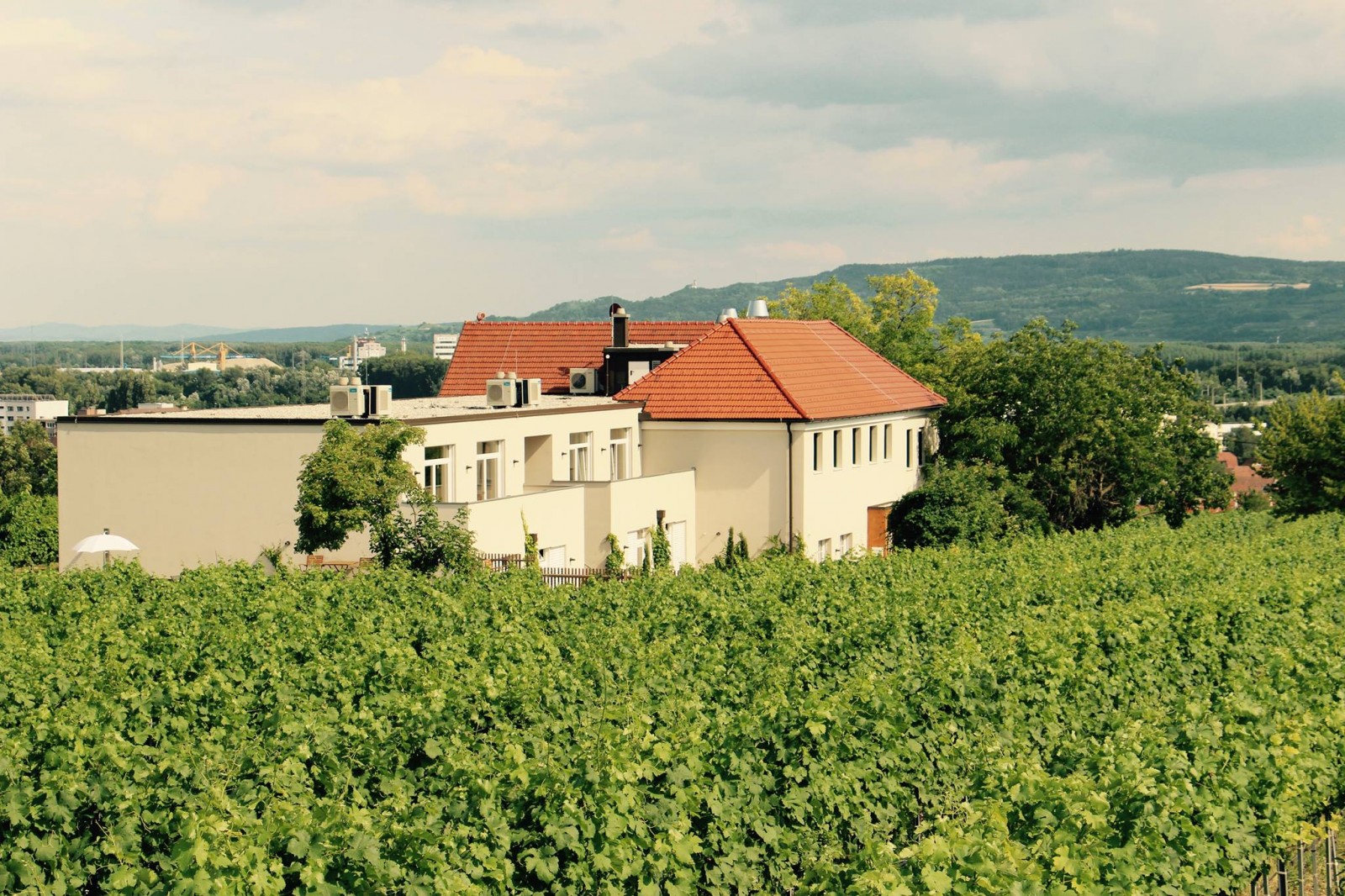 Restaurant Weingut Hutter GmbH