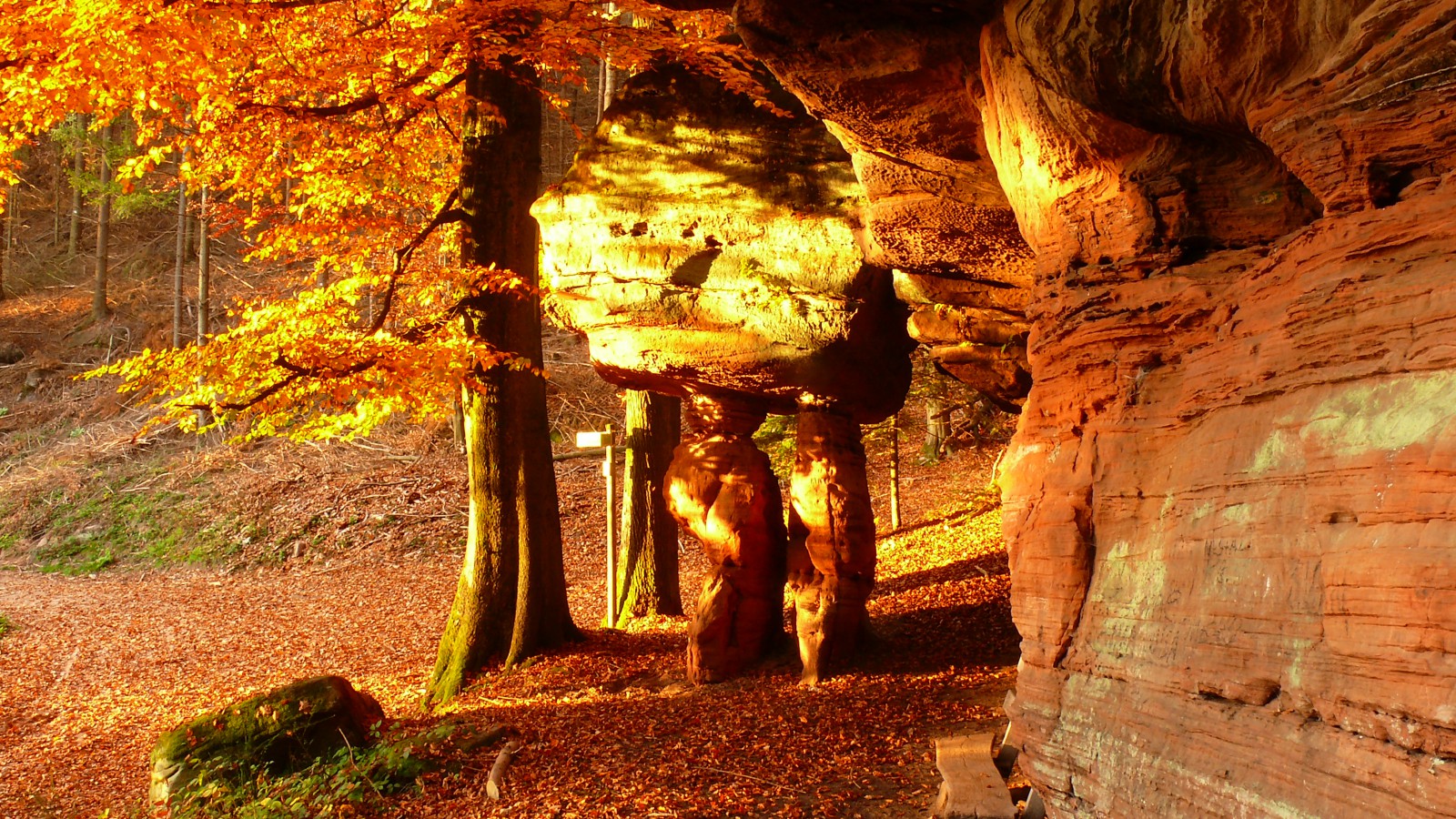 Blick zum Maimont in Ludwigswinkel, Foto 1