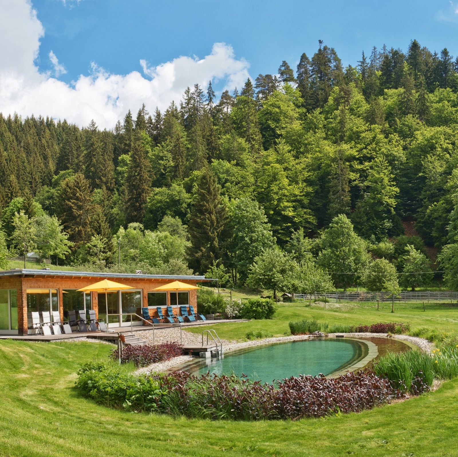 Hotel Gasthof Sommerau  in Bonndorf, Foto 3