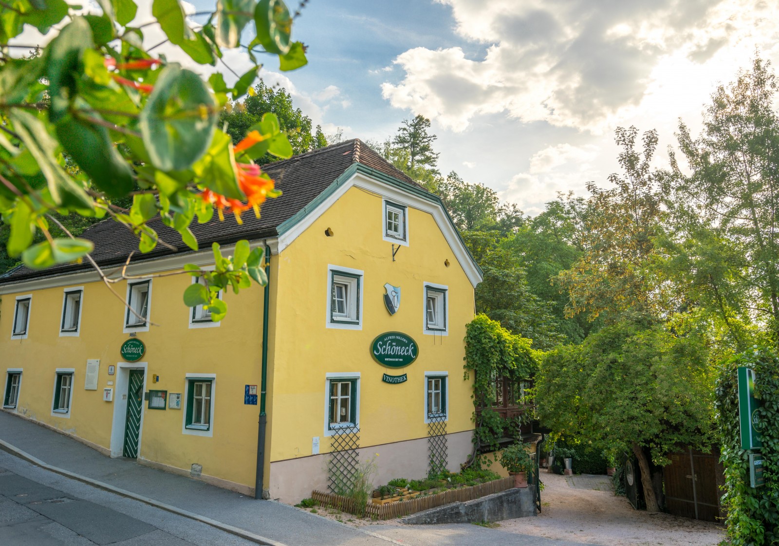 Restaurant Alfred Millers Schöneck