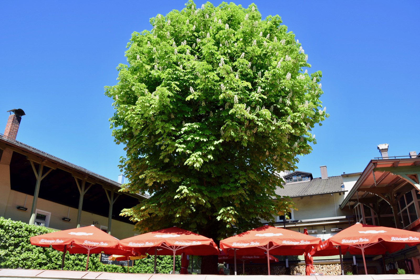 Flötzinger Bräustüberl in Rosenheim, Foto 1