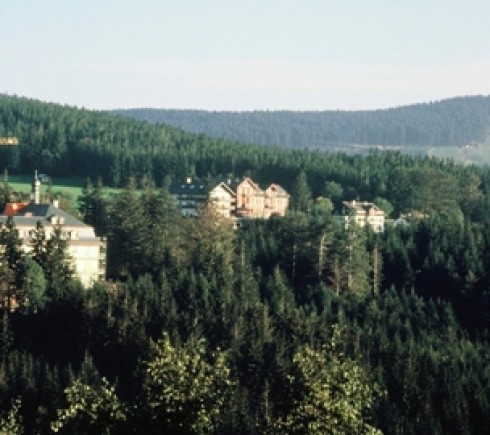 Plättig Hotel in Bühl, Foto 2