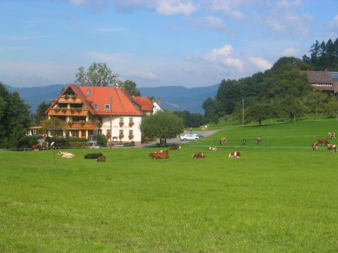 Landgasthof zum Schützen*** in Oberried, Foto 3