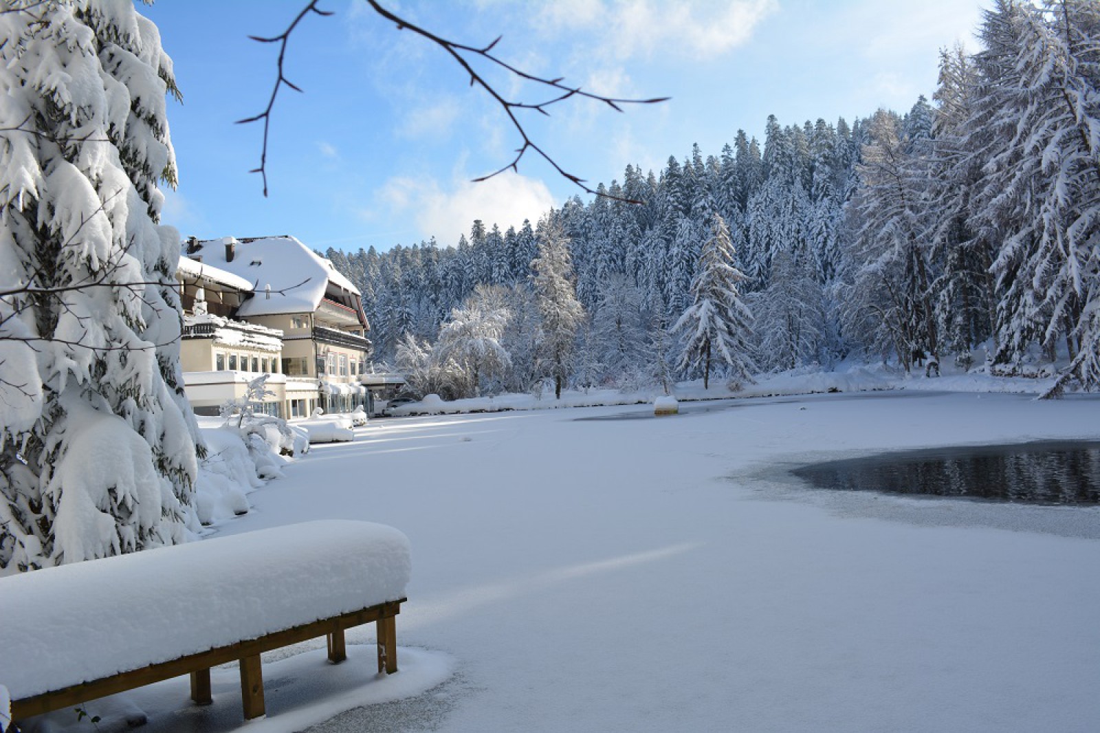 Hotel Langenwaldsee in Freudenstadt, Foto 2