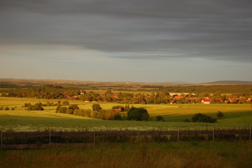 Rennstieg-Hotel Rettelbusch & Waldgasthof Hainich Haus  in Kammerforst, Foto 3